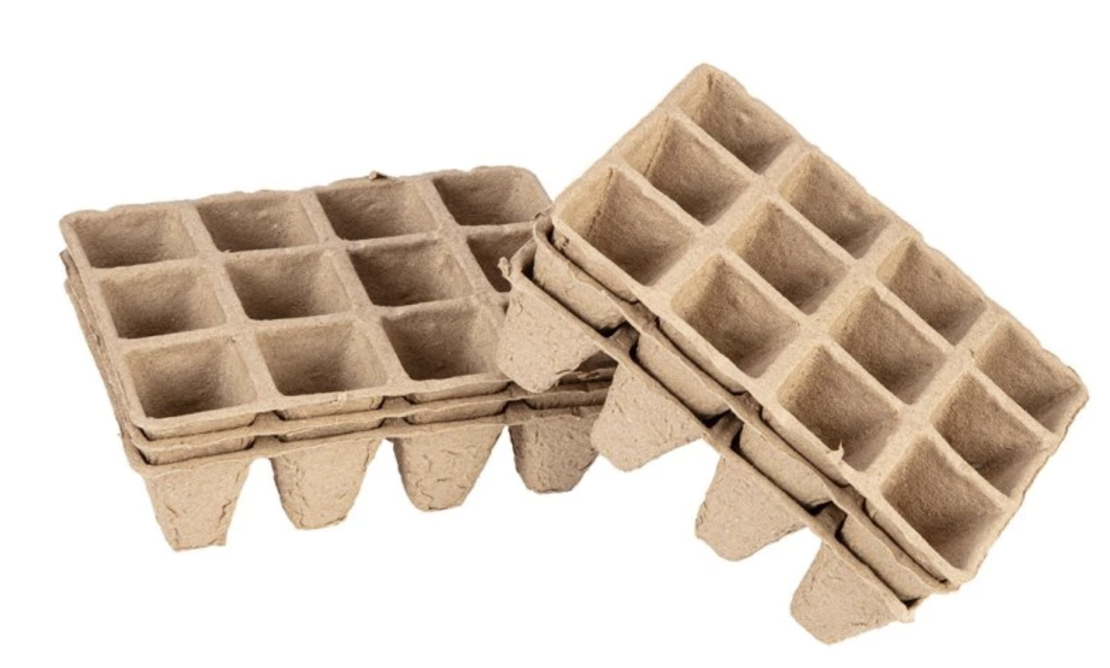 Co vysévat v březnu a dubnu (a co ještě počkat)