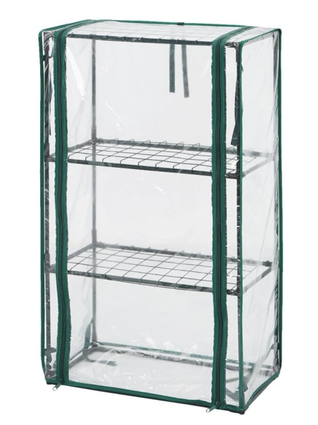 Co vysévat jako první: jarní plán výsevu krok za krokem