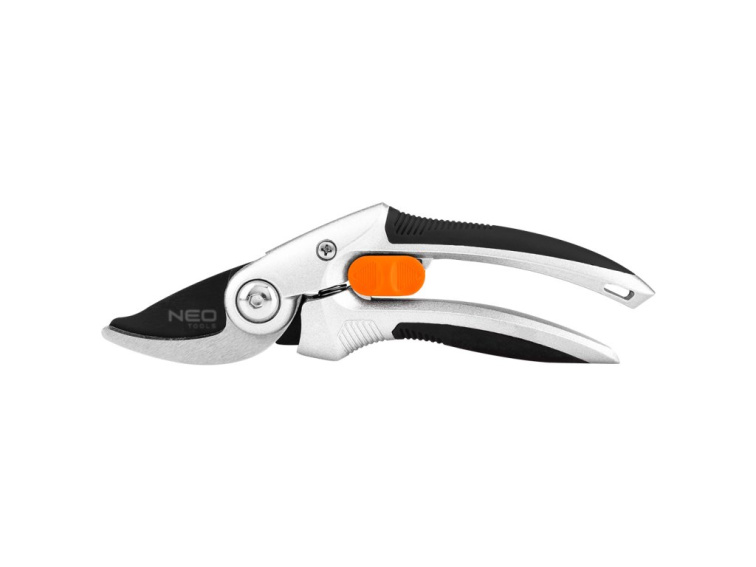 Celoroční péče o okrasné trávy: Od jarního řezu po zimní ochranu