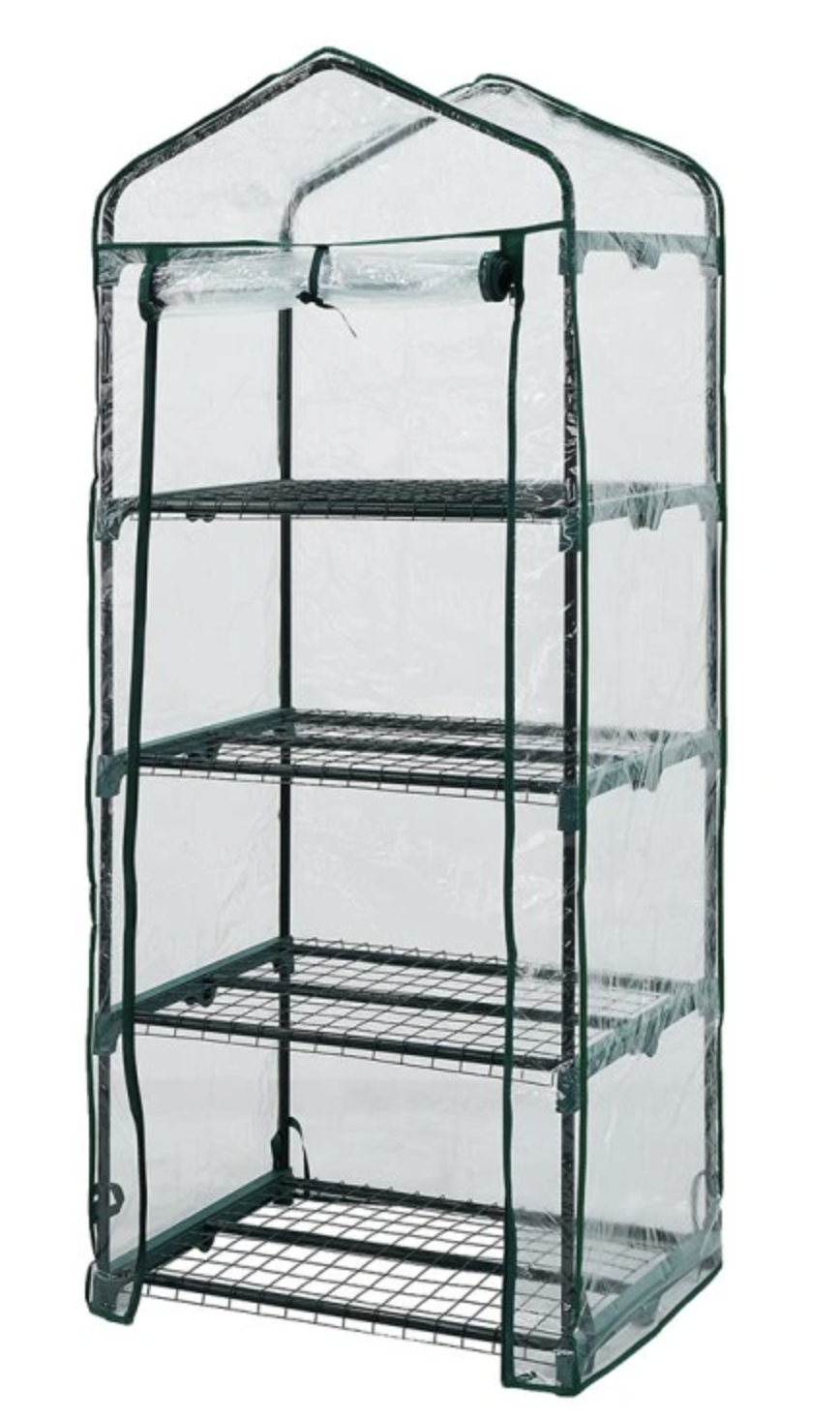 Předpěstování sazenic doma: kdy začít a jak na to