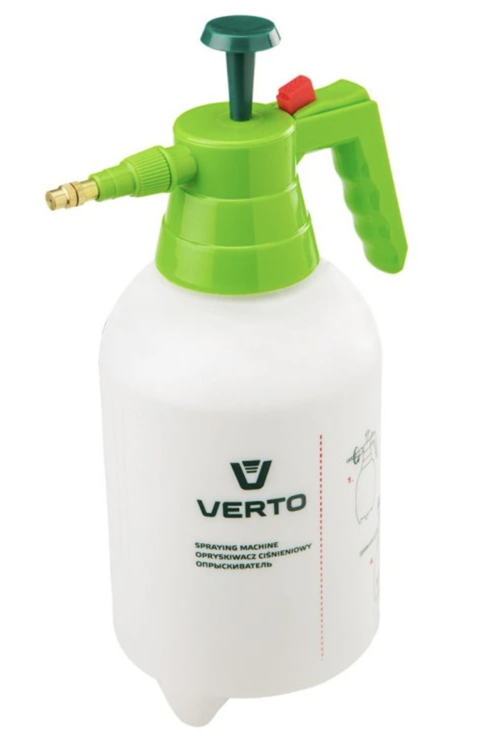 Co vysévat jako první: jarní plán výsevu krok za krokem