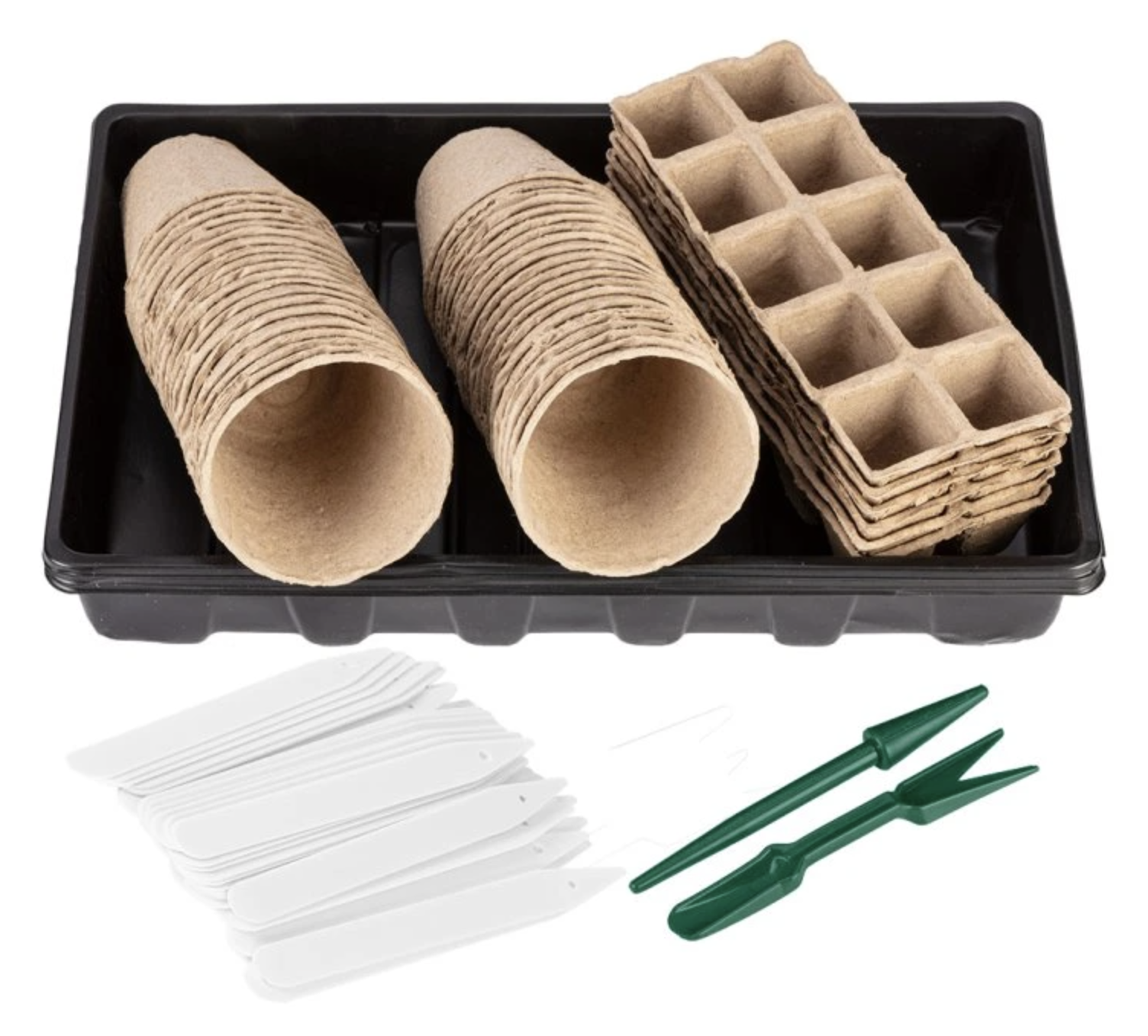 Co vysévat jako první: jarní plán výsevu krok za krokem