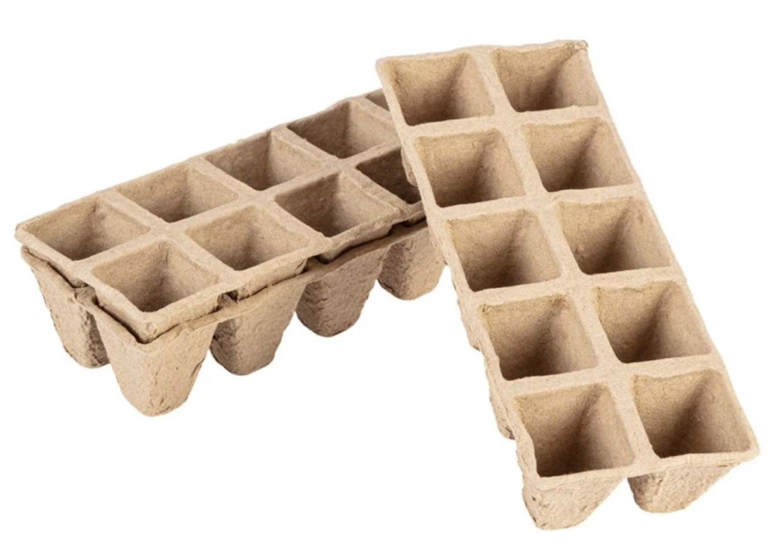 Výsev do záhonů vs. výsev do truhlíků: co je lepší a kdy