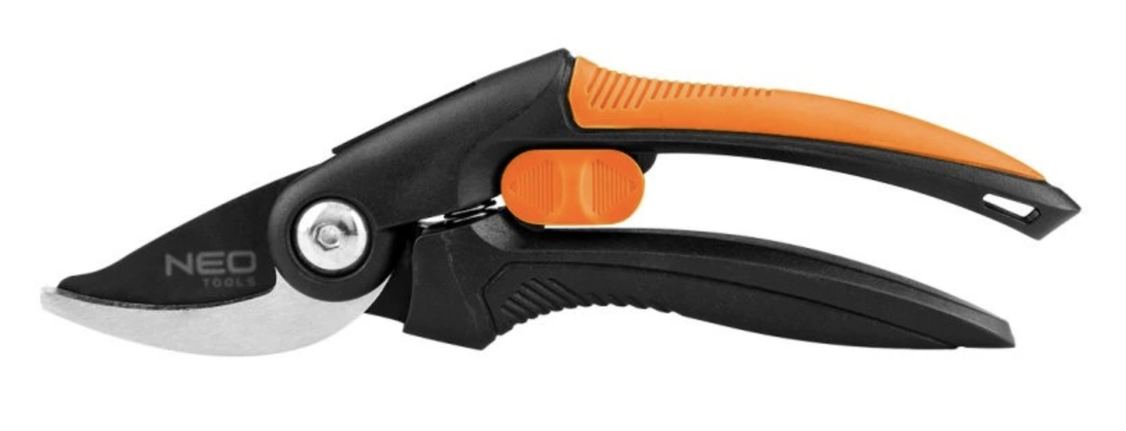 Jarní řez keřů: kompletní průvodce pro začátečníky