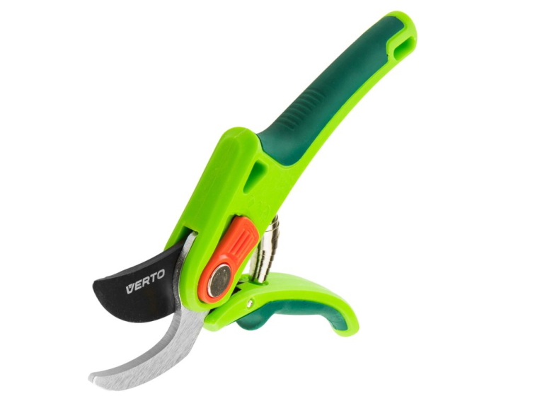 Podzimní řez maliníku a ostružiníku – nezanedbatelný základ budoucí úrody