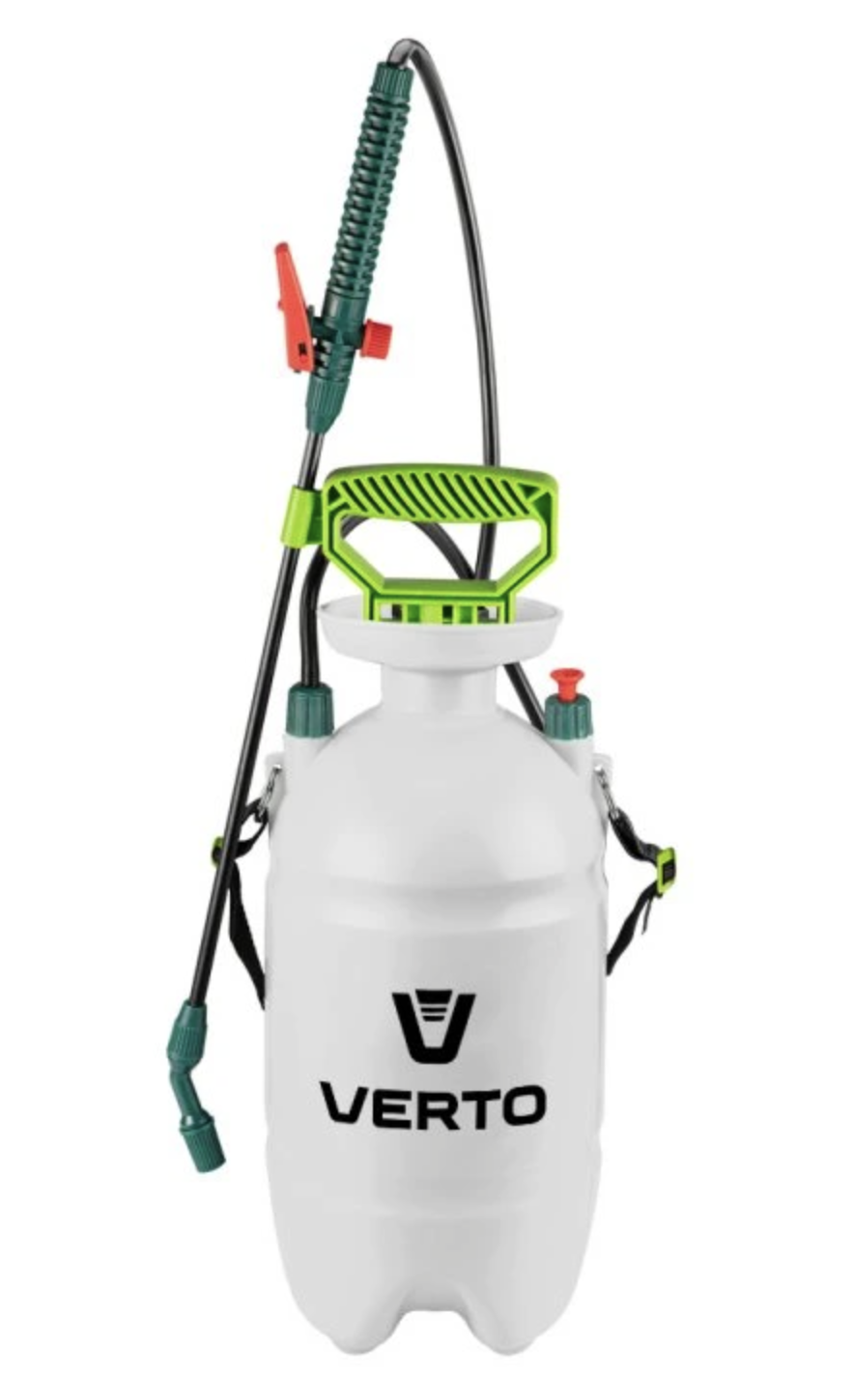 Předpěstování sazenic doma: kdy začít a jak na to