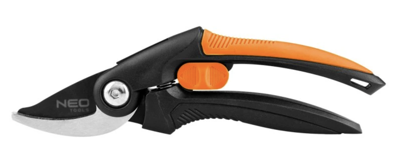 Jak správně stříhat borůvky, aby měly velké plody