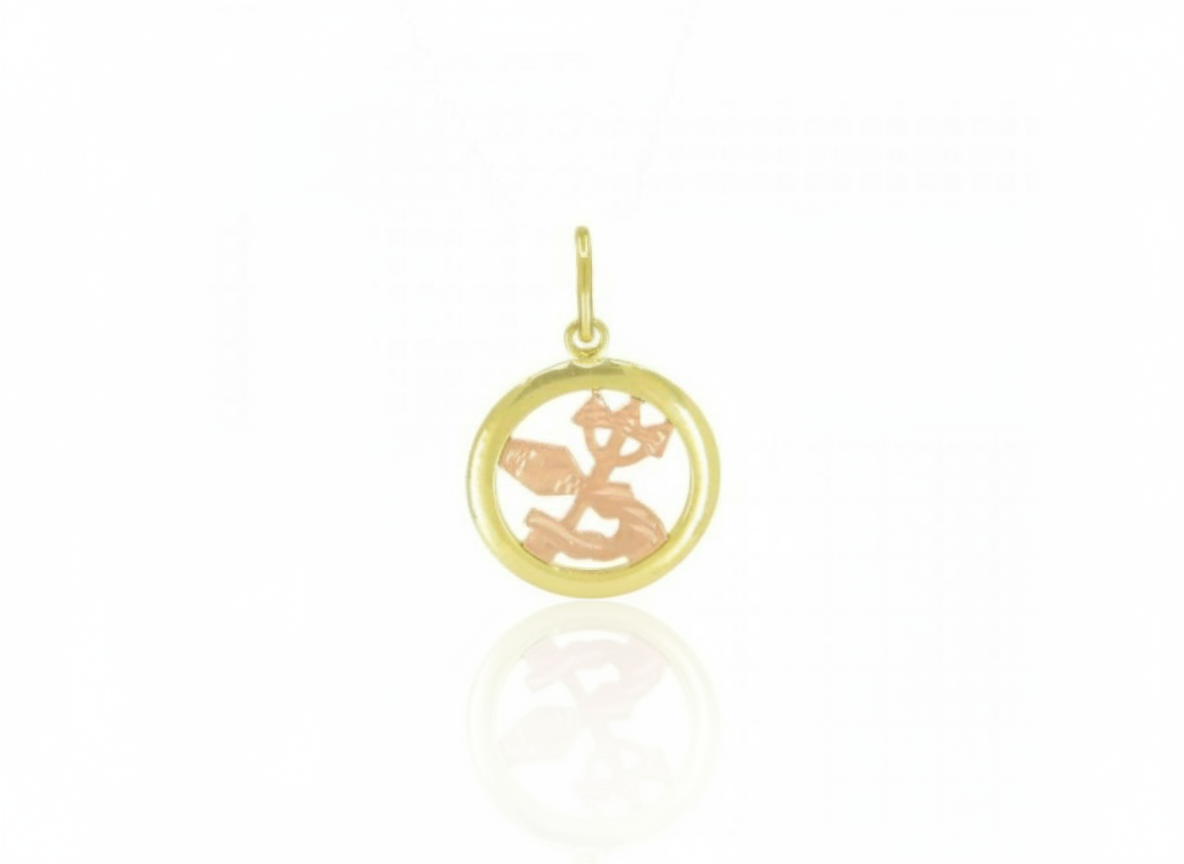 3840 Zlatý přívěsek znamení zvěrokruhu Vodnář 0,60g