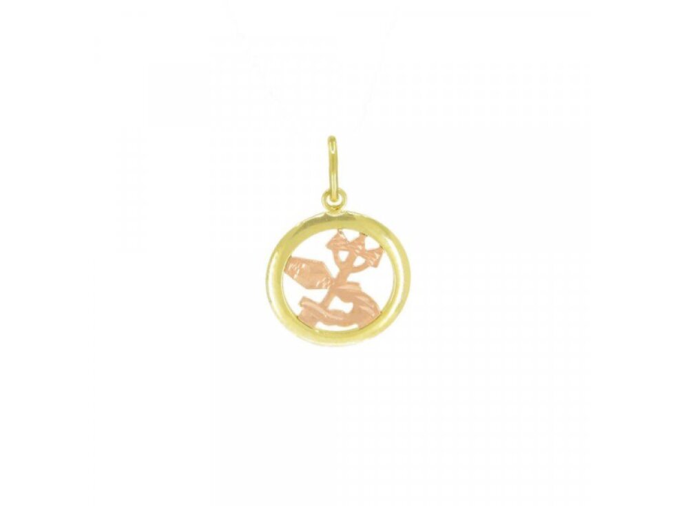 3840 Zlatý přívěsek znamení zvěrokruhu Vodnář 0,60g