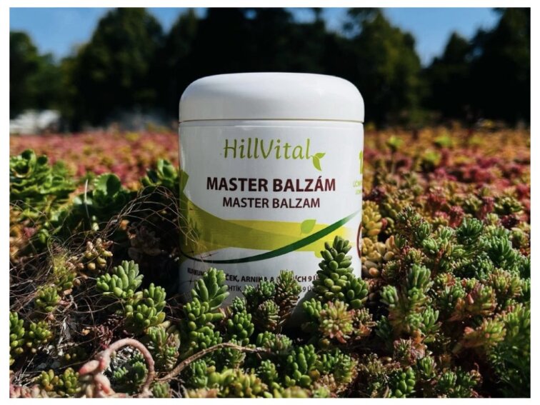 HillVital Master balzám, proti bolesti a otokům, 250ml