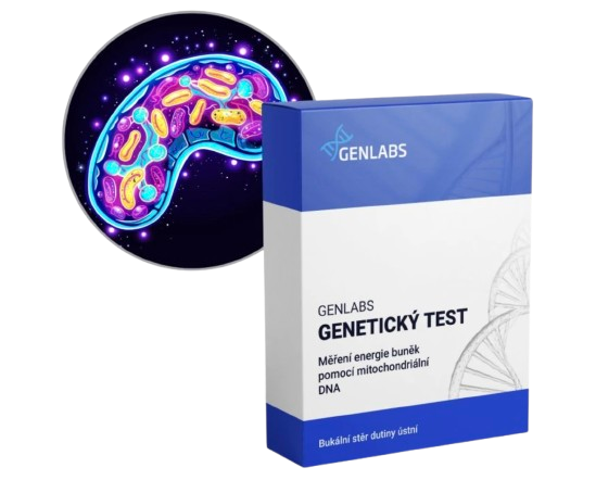 1x Měření mitochondriální DNA, relativní počet mtDNA