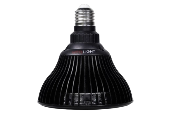 Žárovka MITO LIGHT® Bulb 4.0