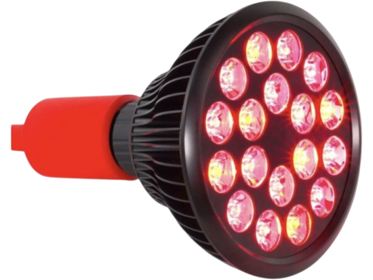 MITO LIGHT® Žárovka Bulb 5.0