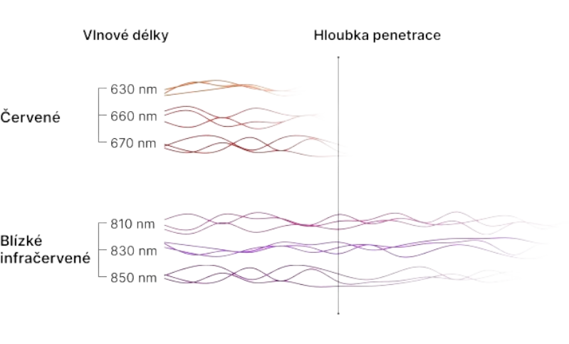 MITO LIGHT® Žárovka Bulb 5.0