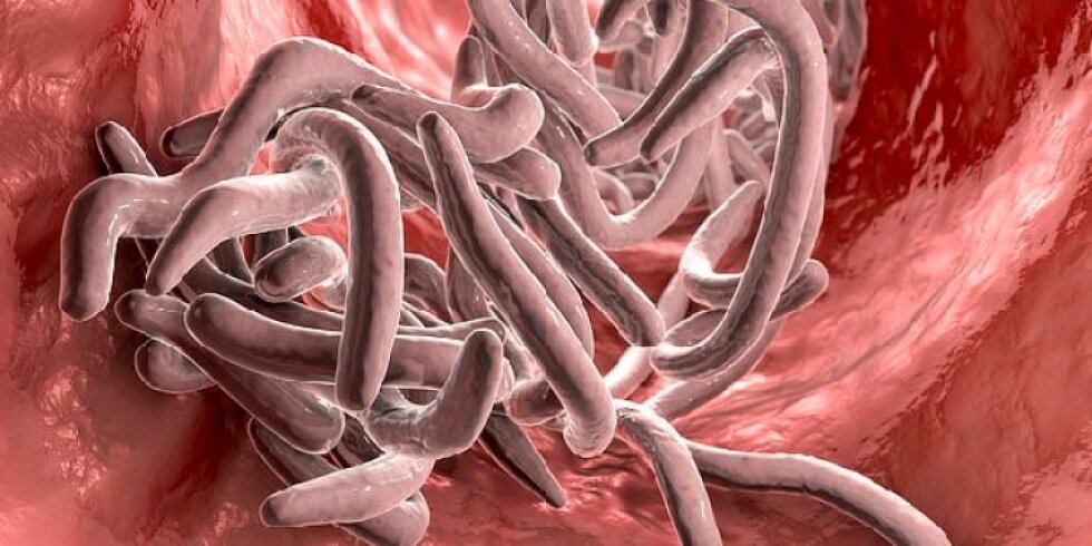 HillVital Dermasoft balzám, na kožní problémy, 2x250 ml