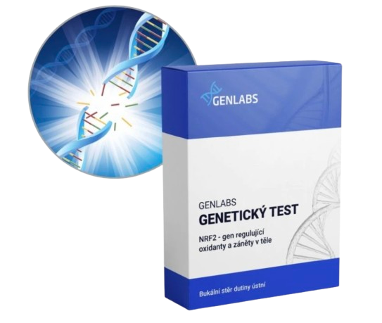 1x NRF2 – gen regulující oxidanty a záněty v těle