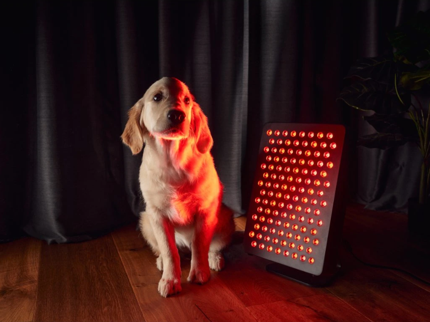 MITO LIGHT® Infračervený panel Starter 5.0