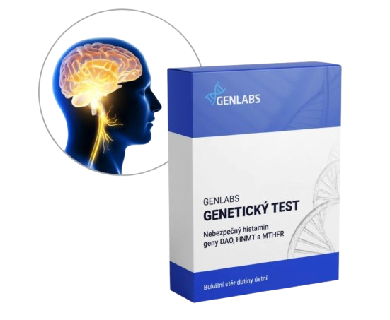 1x Prevence demence ve vztahu k hladině homocysteinu (DAO, HNMT a MTHFR)