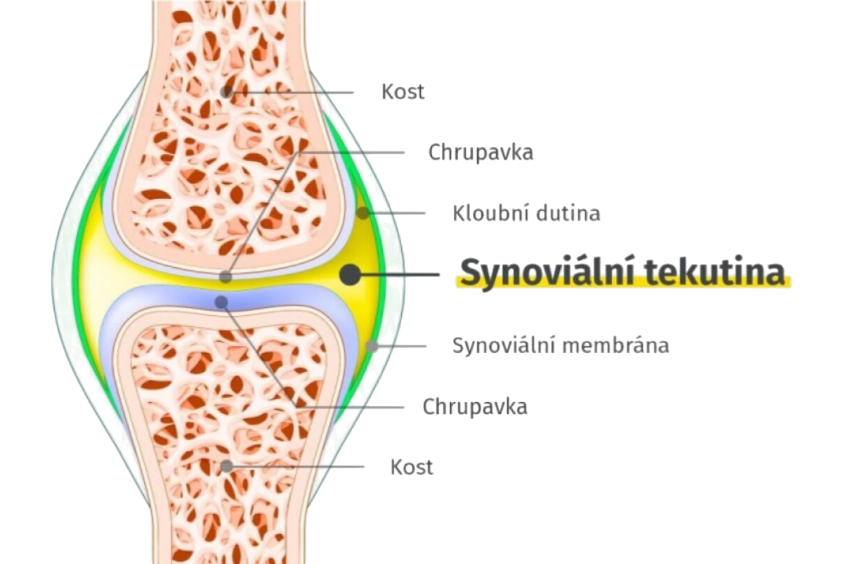Movifar, 30 kapslí, Namman Muay