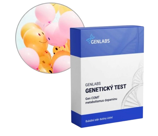 1x Metabolismus dopaminu (COMT)