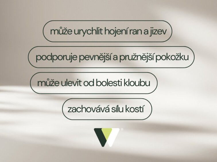 WoldoHealth® Kyselina hyaluronová, 90kapslí