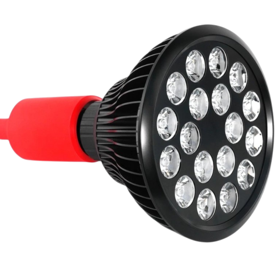 MITO LIGHT® Žárovka Bulb 5.0