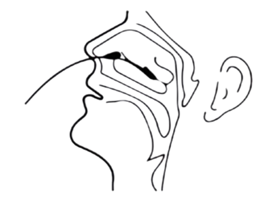 10x FlowFlex Antigenní rychlotest na COVID-19 z přední části nosu - PRO SEBETESTOVÁNÍ