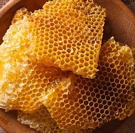 ORGANIC LIP BALM výživný balzám na rty