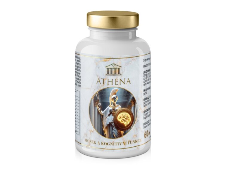 Athéna - Mozek • kognitivní funkce