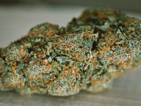 české cbd konopí indoor Czech republic Brno Praha hradec tráva