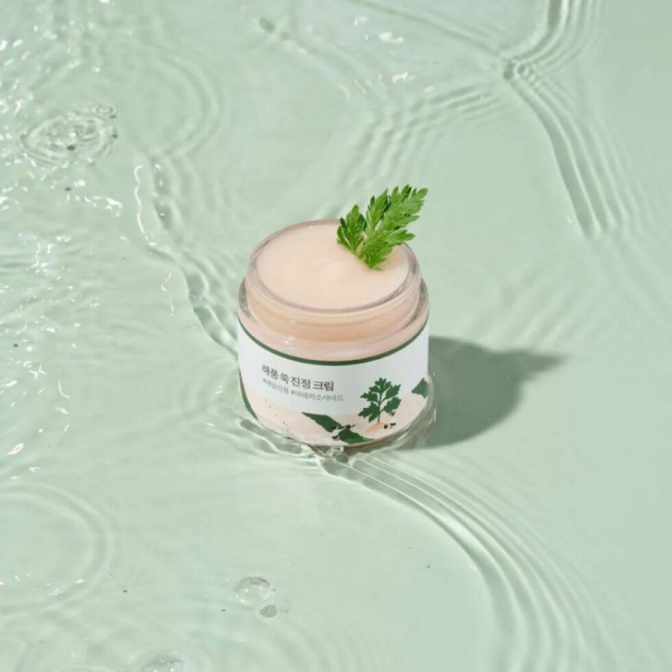 ROUND LAB - Mugwort Calming Cream - Výživný krém na obličej s pelyňkem - 80 ml