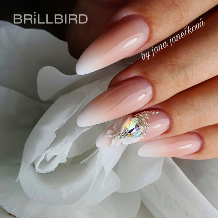 Profesní kurz nehtové modeláže | Master