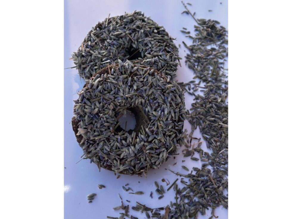 Levandulový donut
