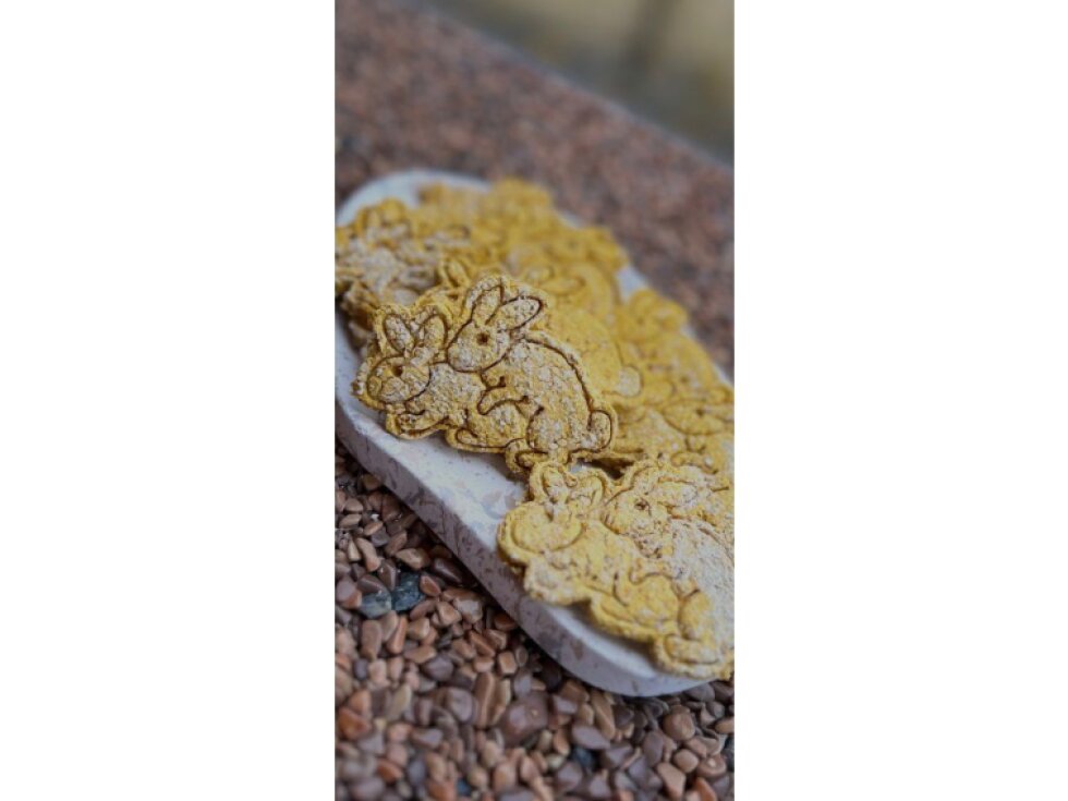 Kaninchenliebe 🧡