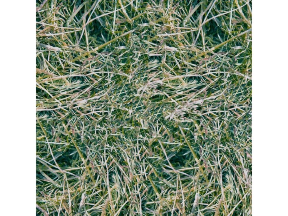 Seno 150l (5kg)