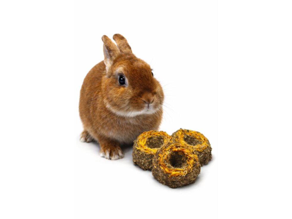 Heubrötchen mit Ringelblumen
