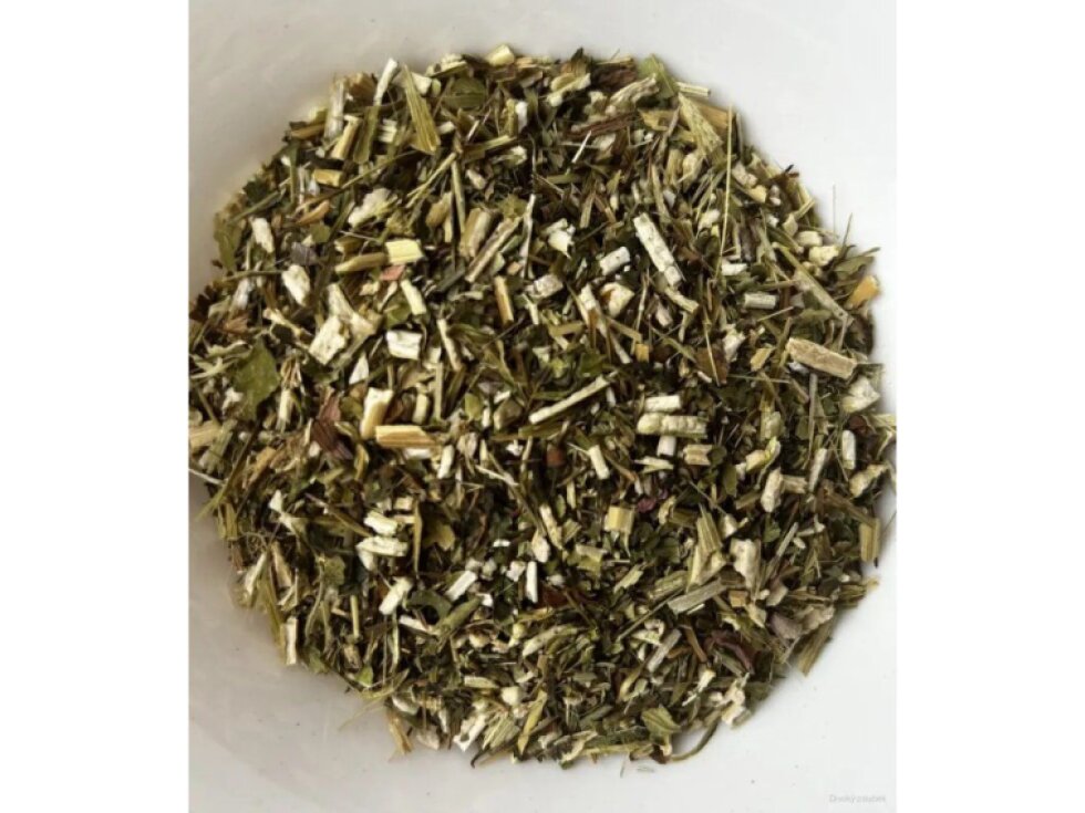 Sušená echinacea 50g
