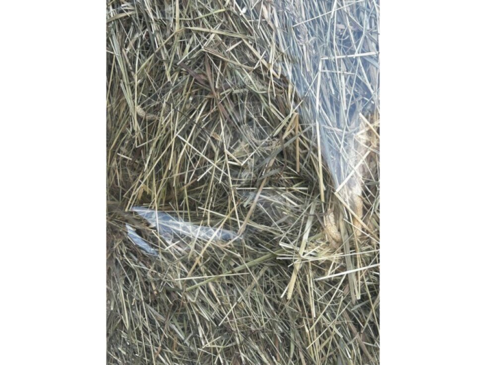 Luční BIO seno 1. seč 2kg