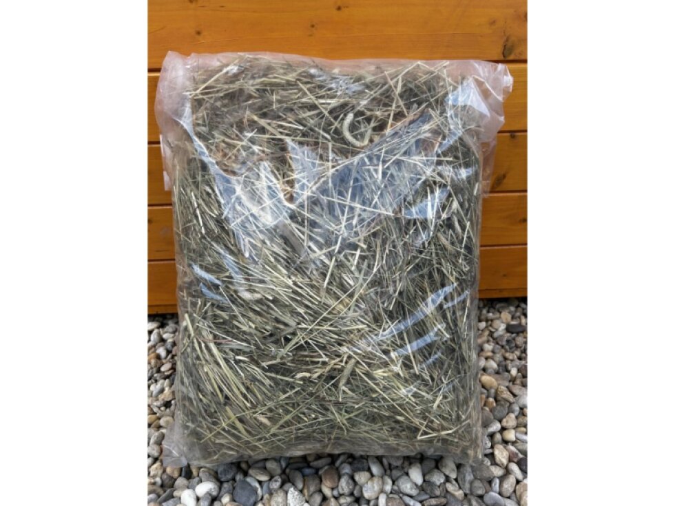 Starter box pro králíčka