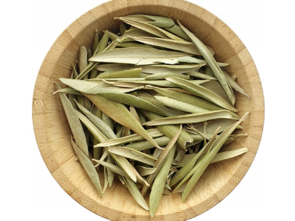 Sušený list olivy 40g