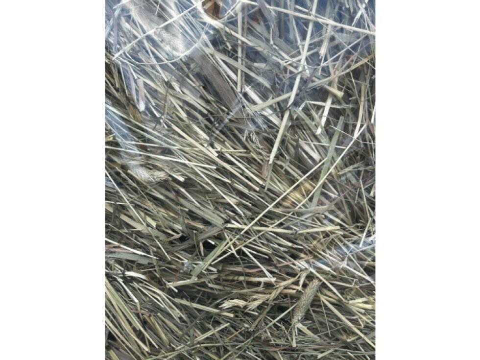 Luční BIO seno 1.seč 1kg