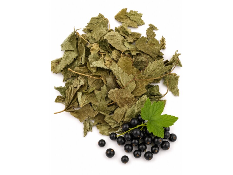 Sušený list černého rybízu 50g