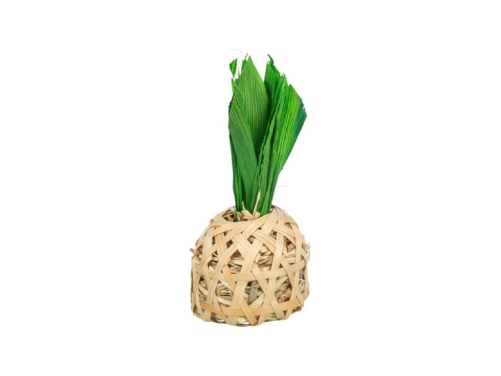 Senný ananas
