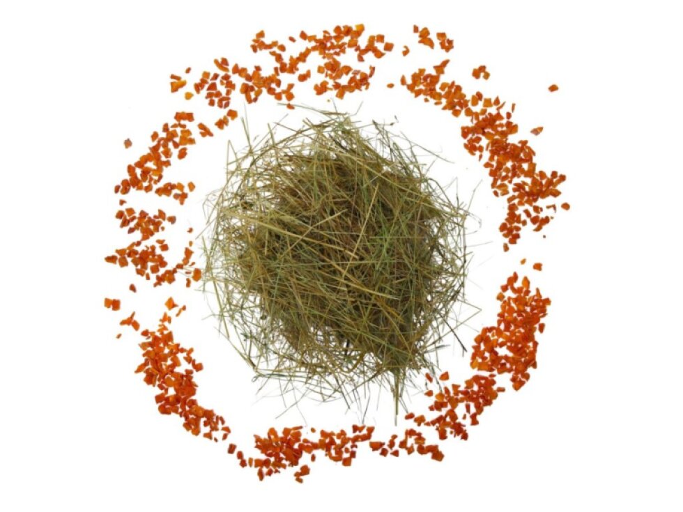 Seno s přídavkem mrkve Limara 2 kg