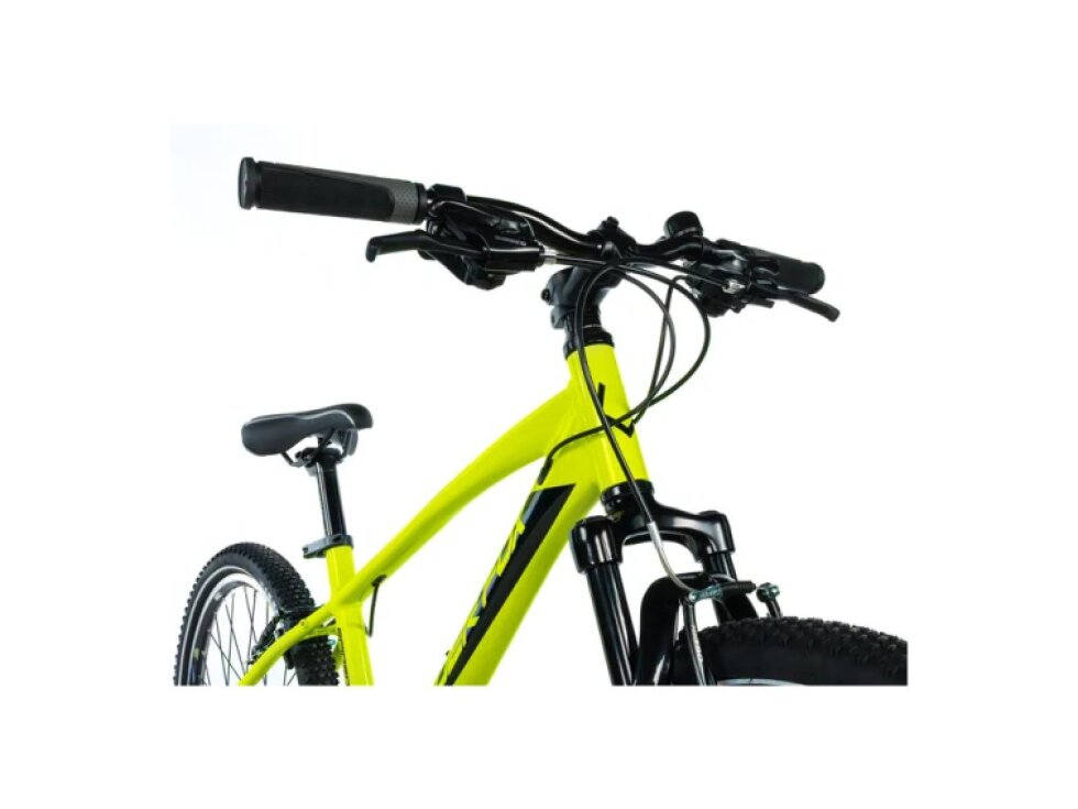 Leader Fox SPIDER BOY 2026