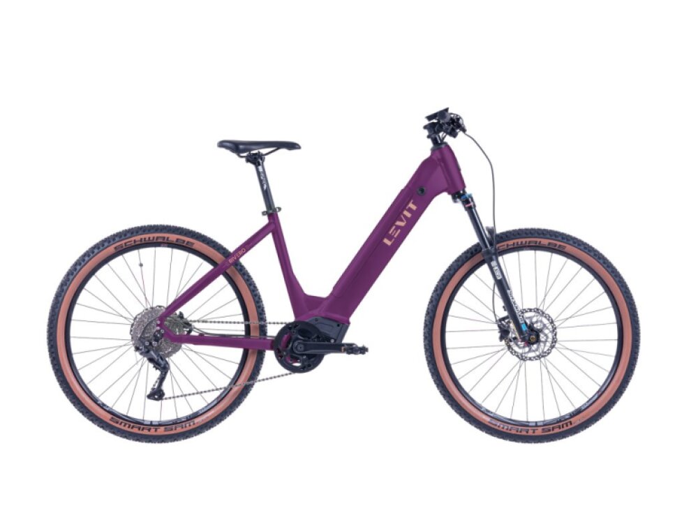 LEVIT RIVERO lowstep Merlot 820 Wh (23 Ah)