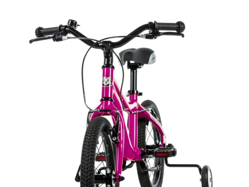 Leader Fox SANTO BOY 16" fialová 2025