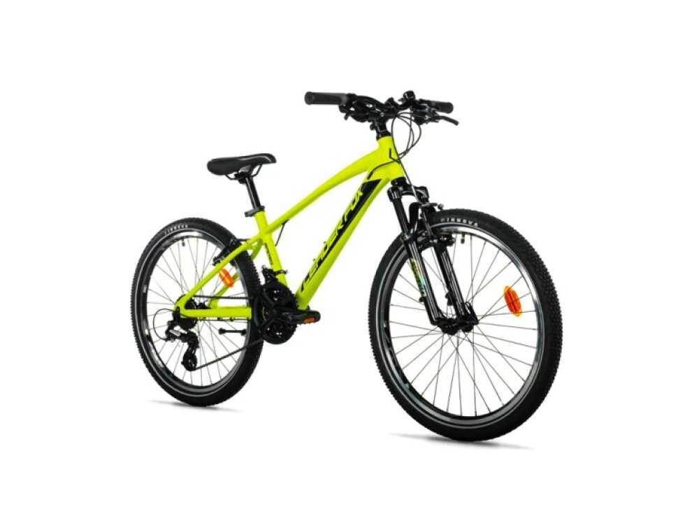 Leader Fox SPIDER BOY 2026