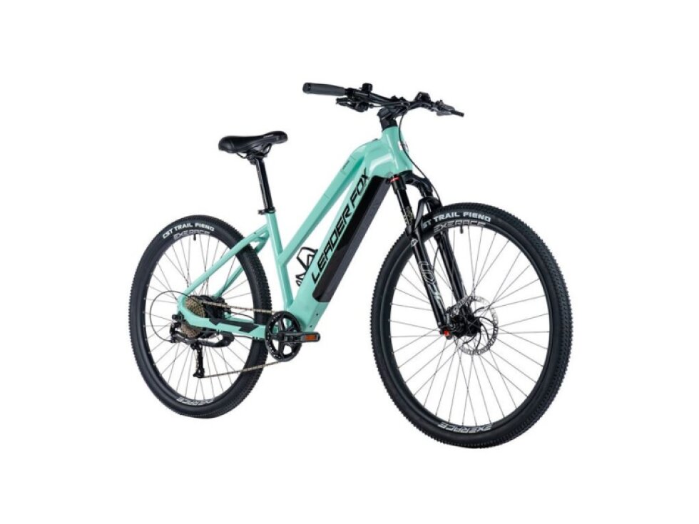 Leader Fox 29" ARIMO LADY 2024