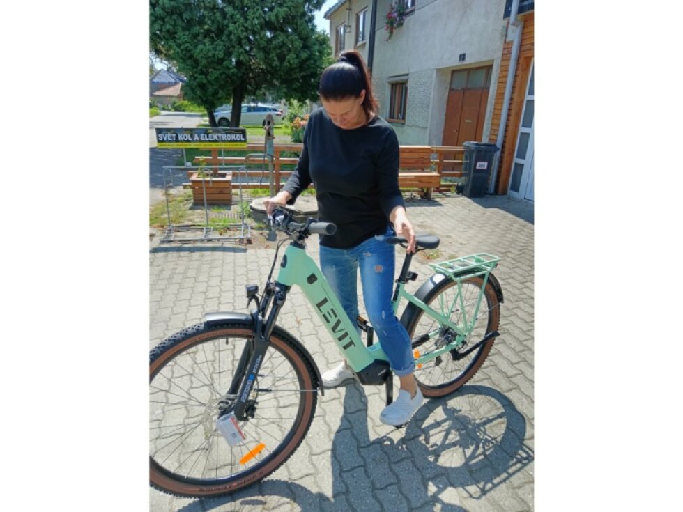 LEVIT FLUECO lowstep 90 Nm Mint 725 Wh (20 Ah)